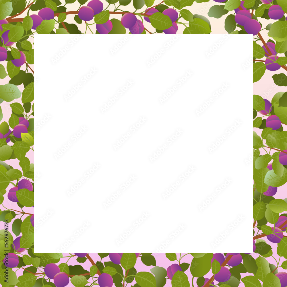 Tree branch frame plum with ripe fruits. Garden plant with edible harvest. Branch with foliage and leaves. Isolated on white background. Vector Tree branch frame plum with ripe fruits. Garden plant with edible harvest. Branch with foliage and leaves. Isolated on white background. Vector