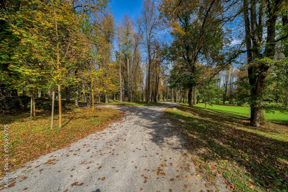 Fototapeta premium autumn in the park