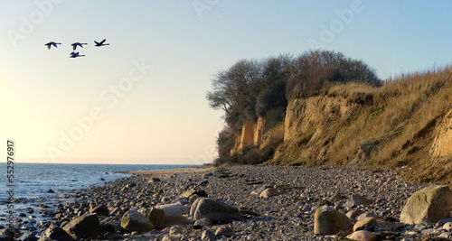 Schwanenflug photo