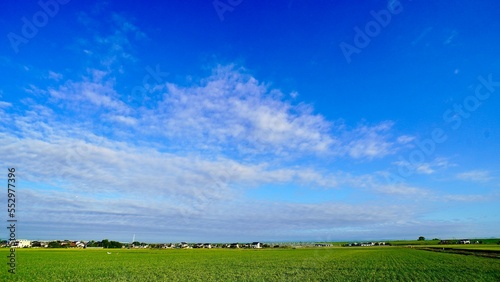 広角レンズで撮った田園の風景 © 隼人 増田