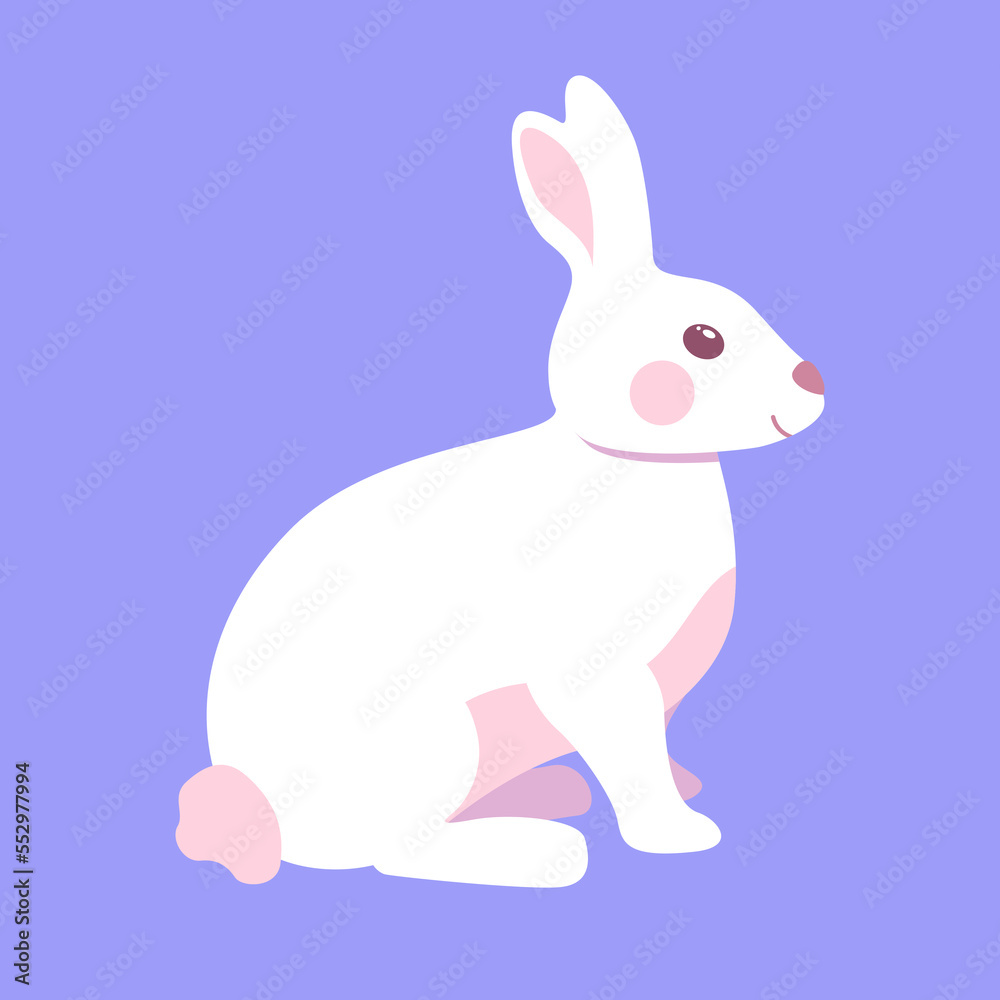 Cute little rabbit isolated on blue background Cute little rabbit isolated on blue background