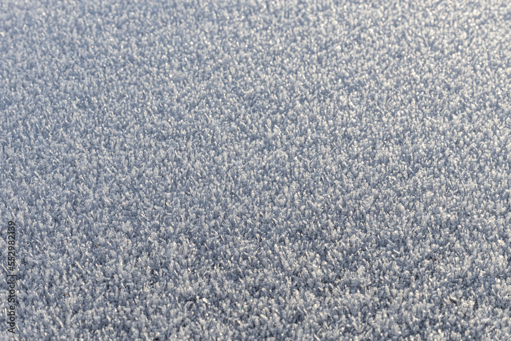 white frost in the winter in the sun white frost in the winter in the sun