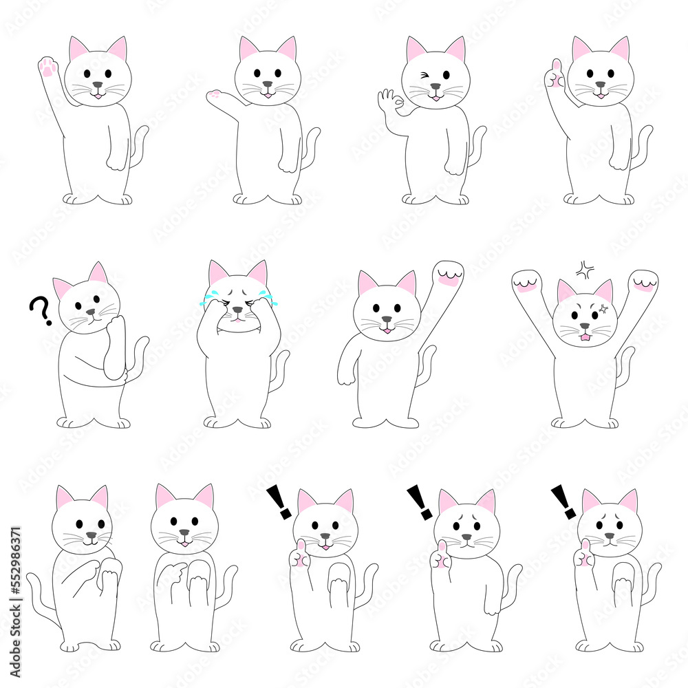 A set of white cat with white background