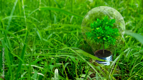 grow tree in light bulb grass background earth day concept 