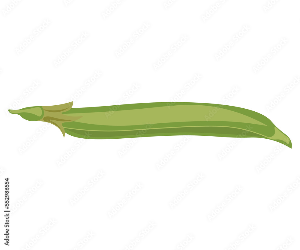 plant vegetable healthy food vegetarianism plant vegetable healthy food vegetarianism