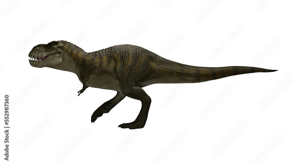 Dinosaur Trex walking on render image Dinosaur Trex walking on render image