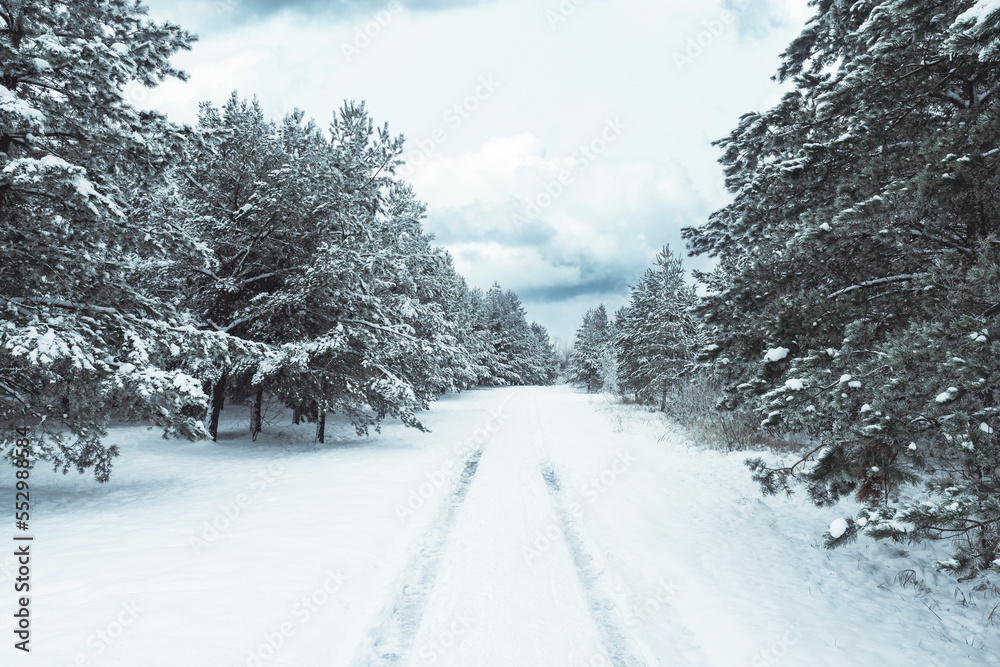 Fototapeta premium Winter road through the forest