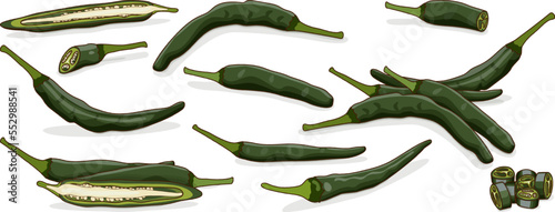 Set with whole, half, quarter, slices of Pasilla Bajio. Chilaca chili pepper. Chile Negro. Prieto. Cuernillo. Chili pepper. Vegetables. Cartoon style. Vector illustration isolated on white background.