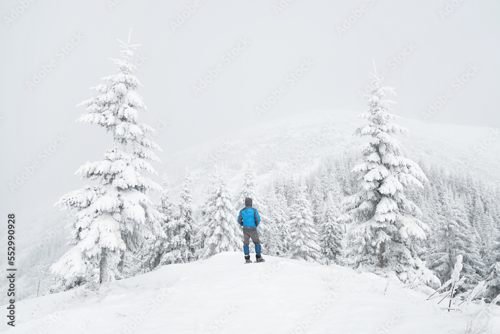 Man in a Snow-covered Mountain Forest Man in a Snow-covered Mountain Forest