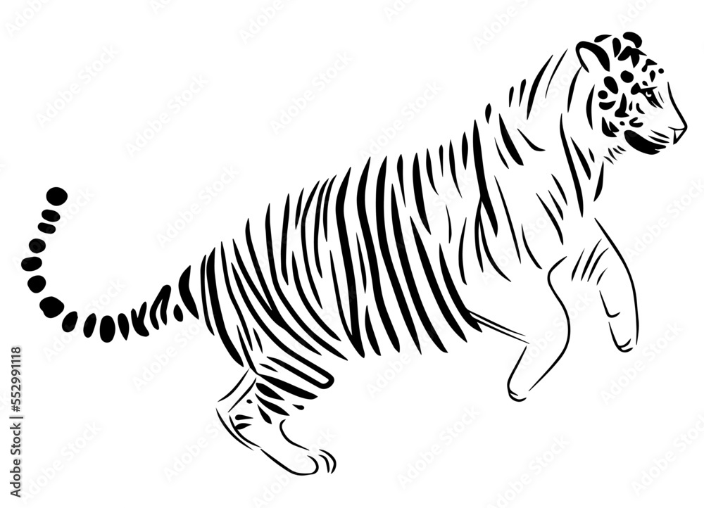 Jumping tiger line illustration Jumping tiger line illustration