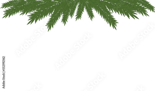 Festive New Year and Christmas greeting background with realistic Christmas tree branches