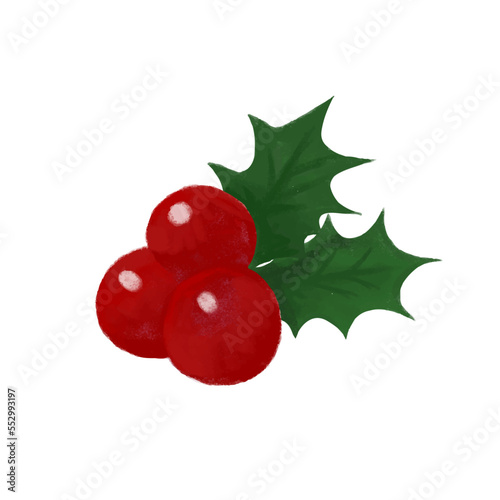 クリスマスのヒイラギの実