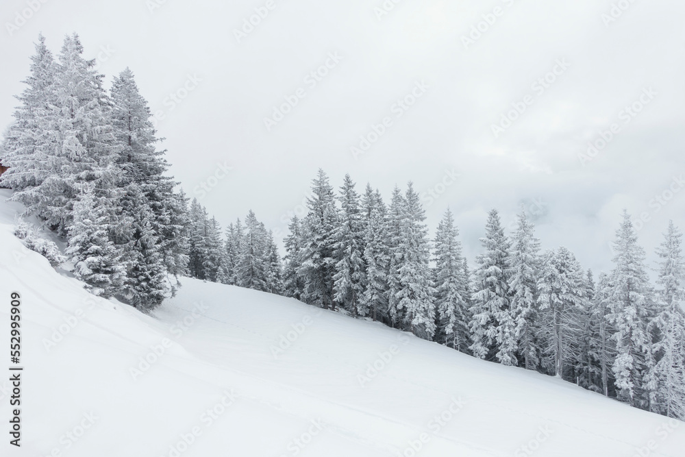 Weihnachtsbäume in einer verschneiten Winterlandschaft in Tirol