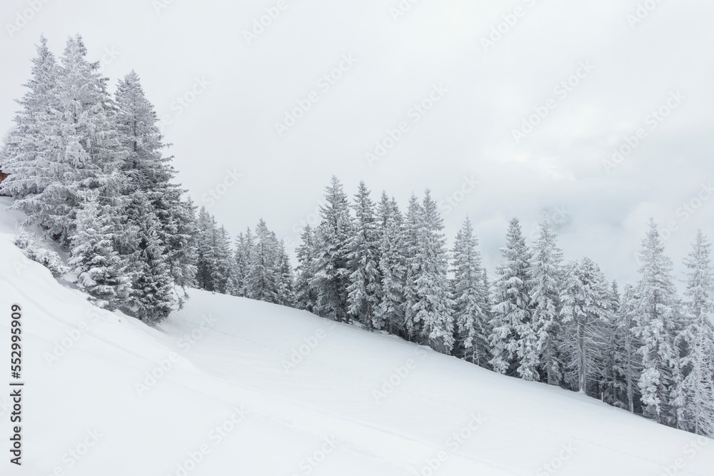 Obraz premium Weihnachtsbäume in einer verschneiten Winterlandschaft in Tirol