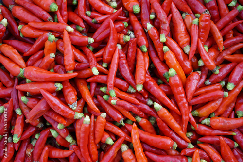Fresh organic red spicy Thai chilies background. Concept, food ingredients, agriculture crops in Thailand for cooking with spicy food, chiles sauce or chilli paste.