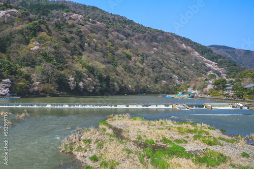 Spring Season Nakanoshima Park, Arashiyama, Kyoto, Japan 12 April 2012 photo