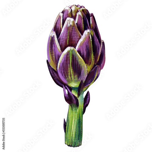 artichoke painting