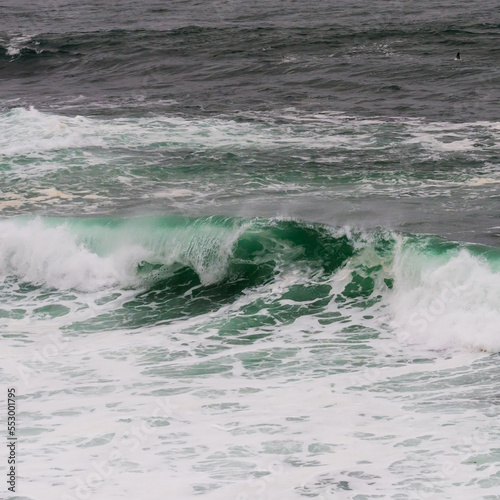 Curling Teal Wave and White Wash