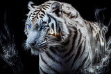tiger spirit