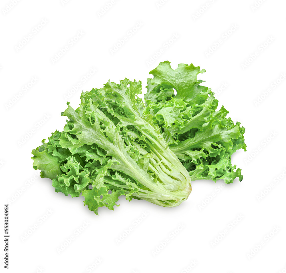 Fresh lettuce leaves isolated with clipping path fresh vegetable high vitamin and fiber on transparent.. Fresh lettuce leaves isolated with clipping path fresh vegetable high vitamin and fiber on transparent..