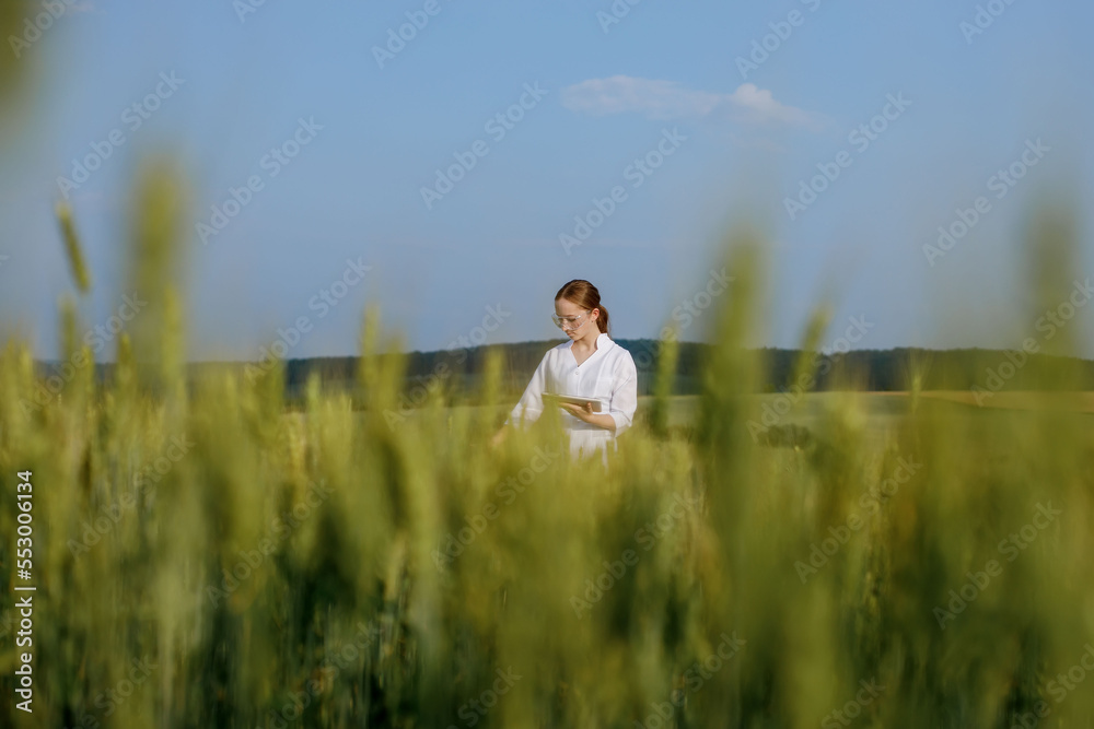 Scientist technologist in a white coat on a young wheat field writes down data on this year's crop on a smart tablet Scientist technologist in a white coat on a young wheat field writes down data on this year's crop on a smart tablet