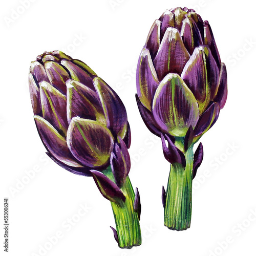 artichoke painting