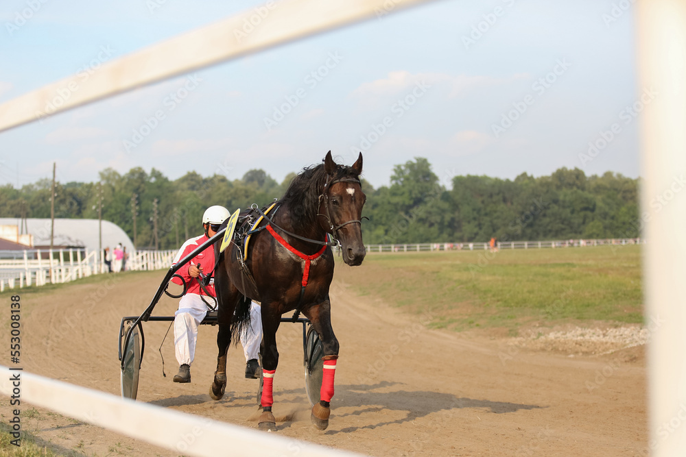 Horses and riders running at horse races Horses and riders running at horse races