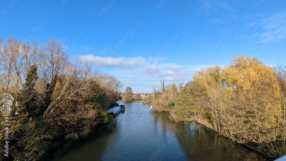 autumn landscape with river, trees stand both size of river
