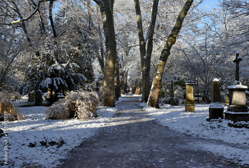 Fußweg auf dem alten Friedhof in Freiburg im Winter photo