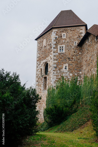 old castle in the woods