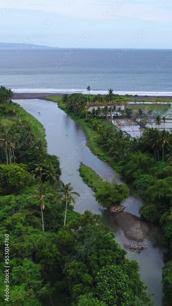 Aerial shot of rice fields next to the Tukad Petanu river Aerial shot of rice fields next to the Tukad Petanu river