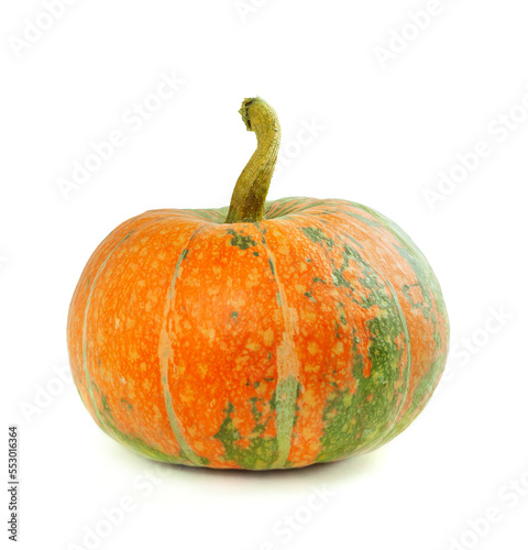Ripe pumpkins isolated. Halloween party pumpkin. pumpkins for autumn backdrop. Squash background for harvest festival. © 151115
