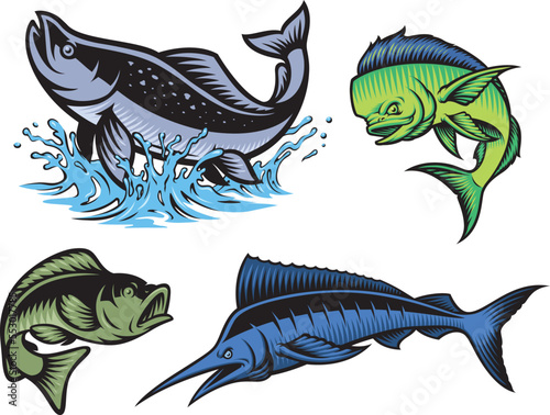 A colour vector clip art for a fishing theme with marline, salmon, perch, mahi mahi fish 