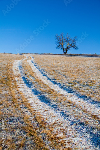 icing on the dirt road