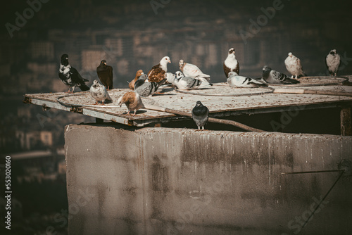 photography, photo, istanbul, fly, travel, architecture, design, tourism, exterior, nobody, red, home, house, old, wall, carved, architectural, arch, nonperson, daylight, sunlight, outdoor, stone, jah photo