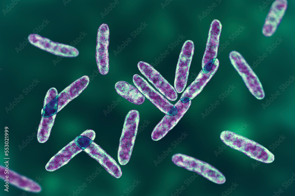Bacteria Cardiobacterium hominis, 3D illustration. Normally present in mouth, nose and throat and can be the cause endocarditis Bacteria Cardiobacterium hominis, 3D illustration. Normally present in mouth, nose and throat and can be the cause endocarditis