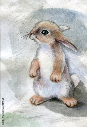 Watercolor drawing. Bunny standing on its hind legs.