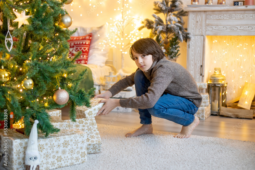 Cute child, boy, playing in decorated room for Christmas, decorating christas tree
Cute child, boy, playing in decorated room for Christmas, decorating christas tree