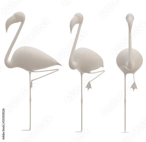 flamingo bird,  animal