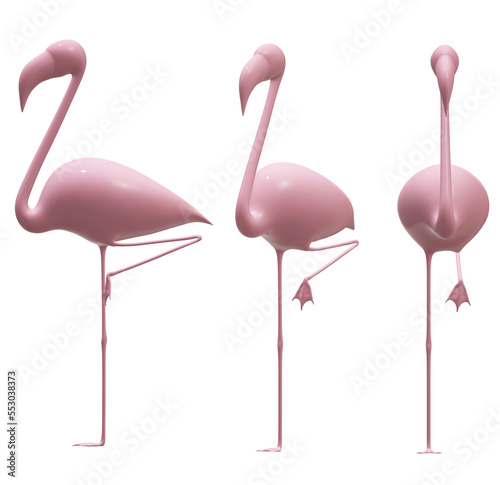 flamingo bird,  animal