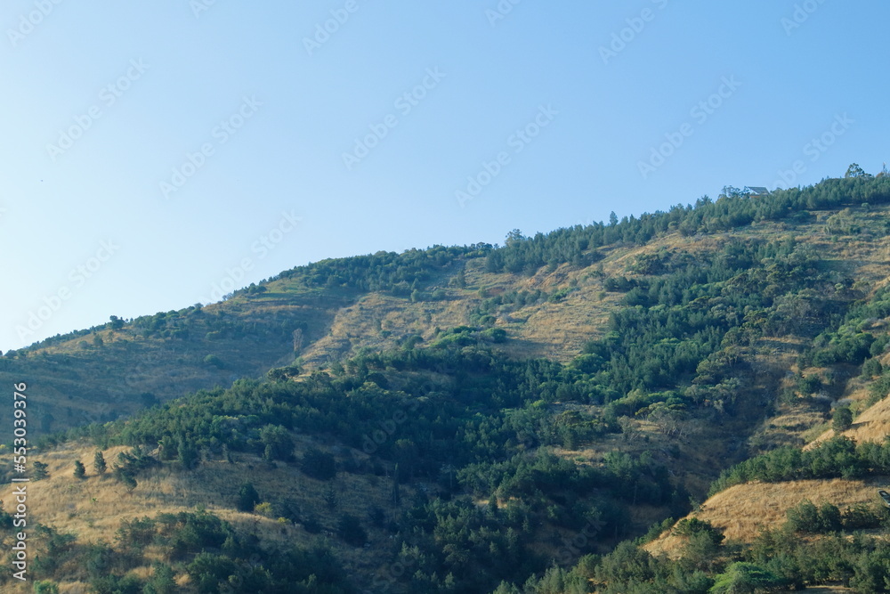 landscape in the mountains