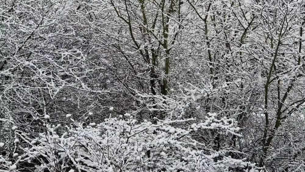 Schneefall im Winter Schneefall im Winter