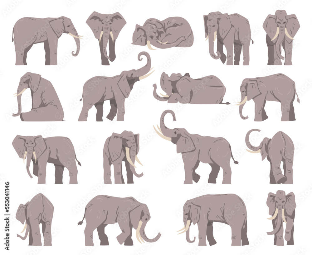 Grey Elephant as Large African Animal with Trunk in Different Pose Big Vector Set