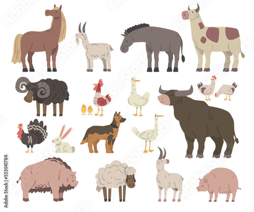 Farm Animals and Livestock with Poultry and Cattle Big Vector Set