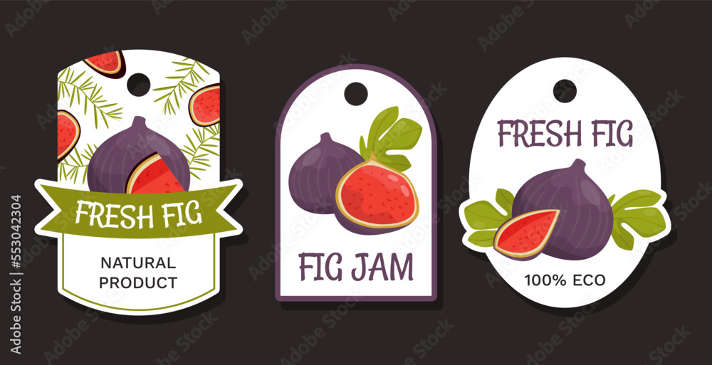 Fig Jam Natural Product Label Design with Ripe Fruit with Purple Skin Vector Template