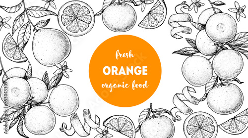 Orange fruit hand drawn design. Vector illustration. Design, package, brochure illustration. Orange fruit frame illustration. Design elements for packaging design and other.