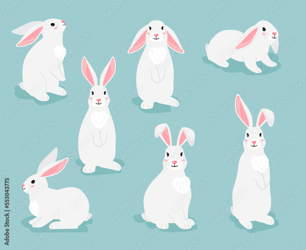 Rabbit characters. White furry hares isolated on white background. Funny bunny pets pose collection. Vector illustration of cartoon cute easter rabbits. Chinese new year symbol