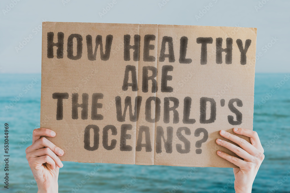 The question The question