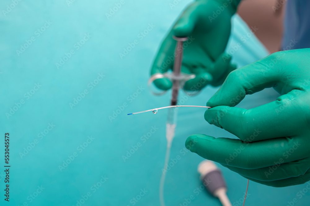 Optical coherence tomography (OCT). Purge catheter with contrast