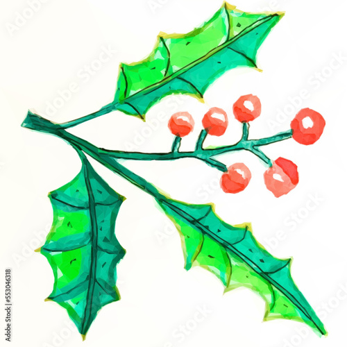 holly leaves and berries. Vector in media mix watercolor and low poly art.
 photo